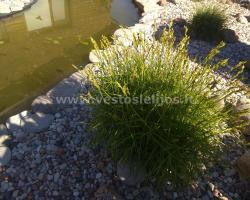 IMG 20190603 172228
