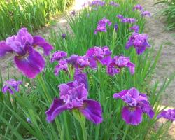 IMG 20190604 131859