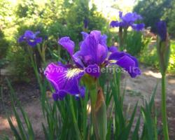 IMG 20190604 134510