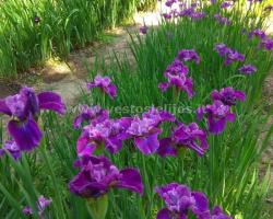 IMG 20190605 122732