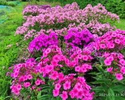IMG 20210701 114239