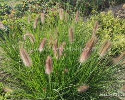 IMG 20210908 160109