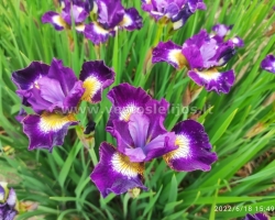 IMG 20220618 154930