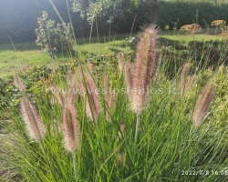 IMG 20220908 160113