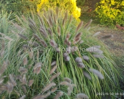 IMG 20220930 080335